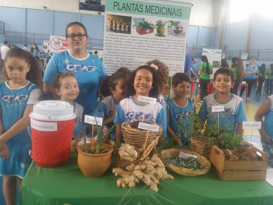 Feira de Ciências - 2016 Feira de Ciências - 2016