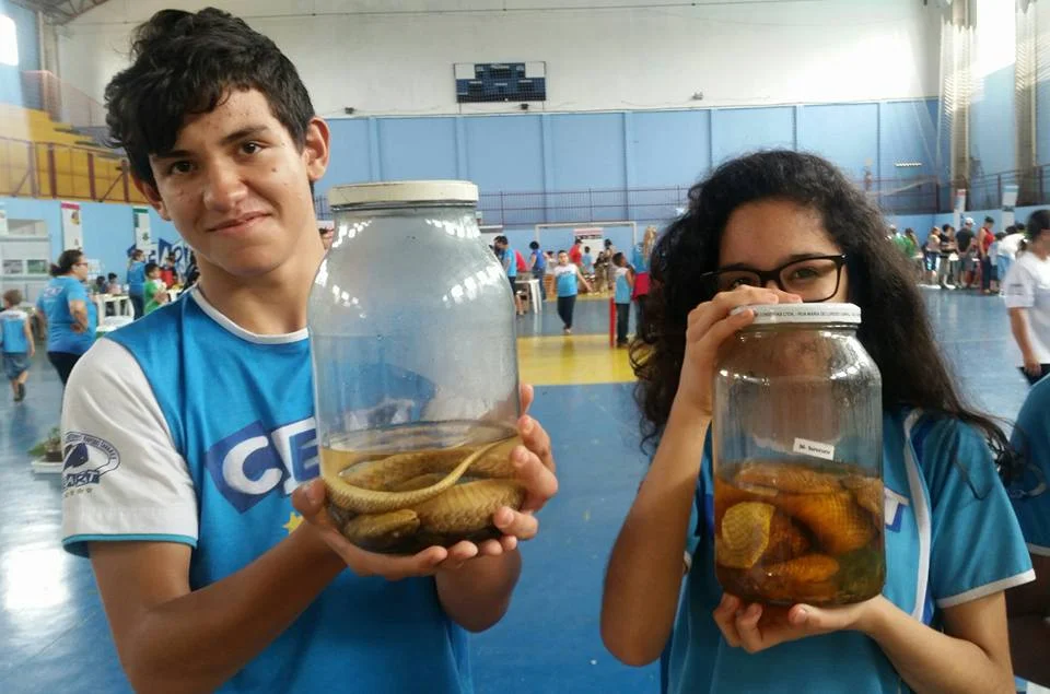 Feira de Ciências - 2016 Feira de Ciências - 2016
