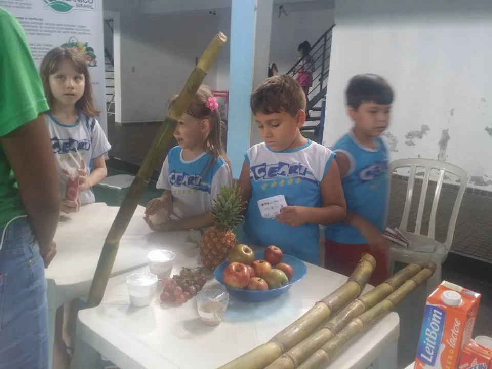 Feira de Ciências - 2016 Feira de Ciências - 2016