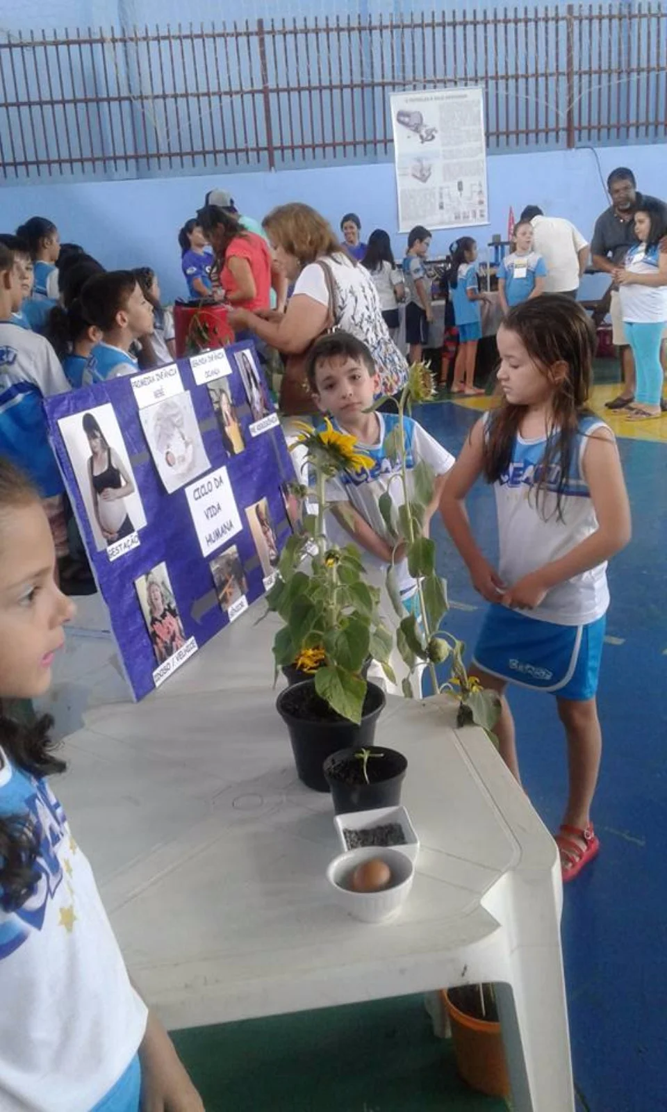Feira de Ciências - 2017