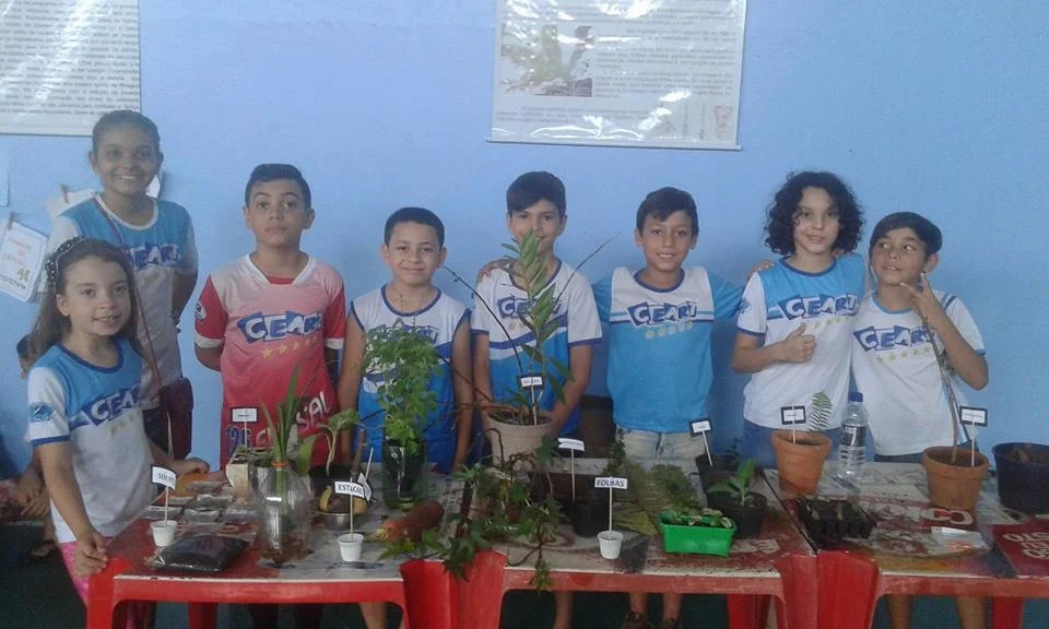 Feira de Ciências - 2017