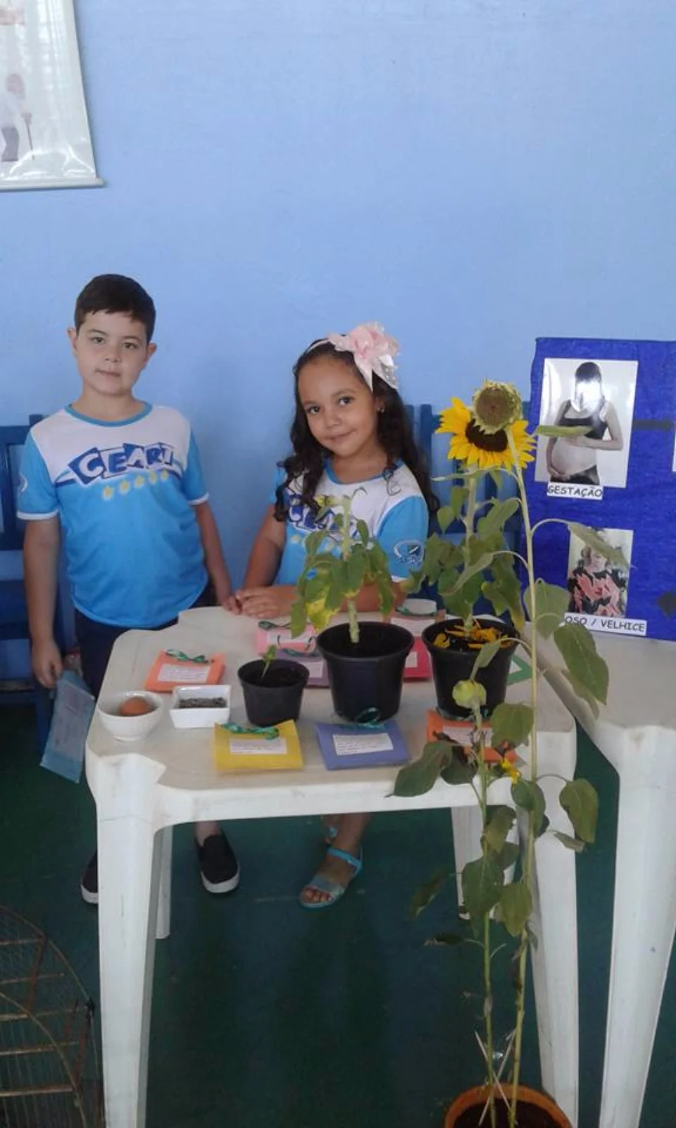 Feira de Ciências - 2017