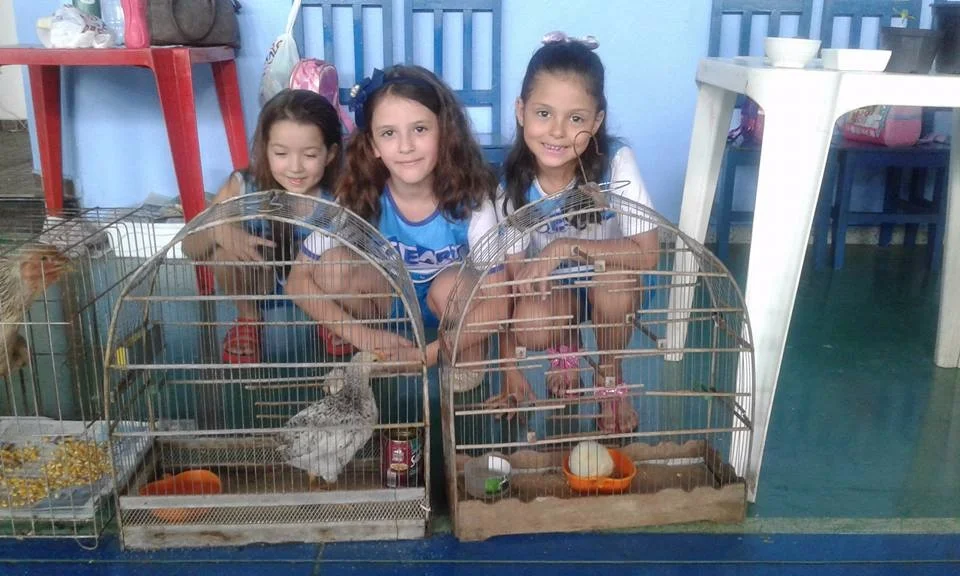 Feira de Ciências - 2017