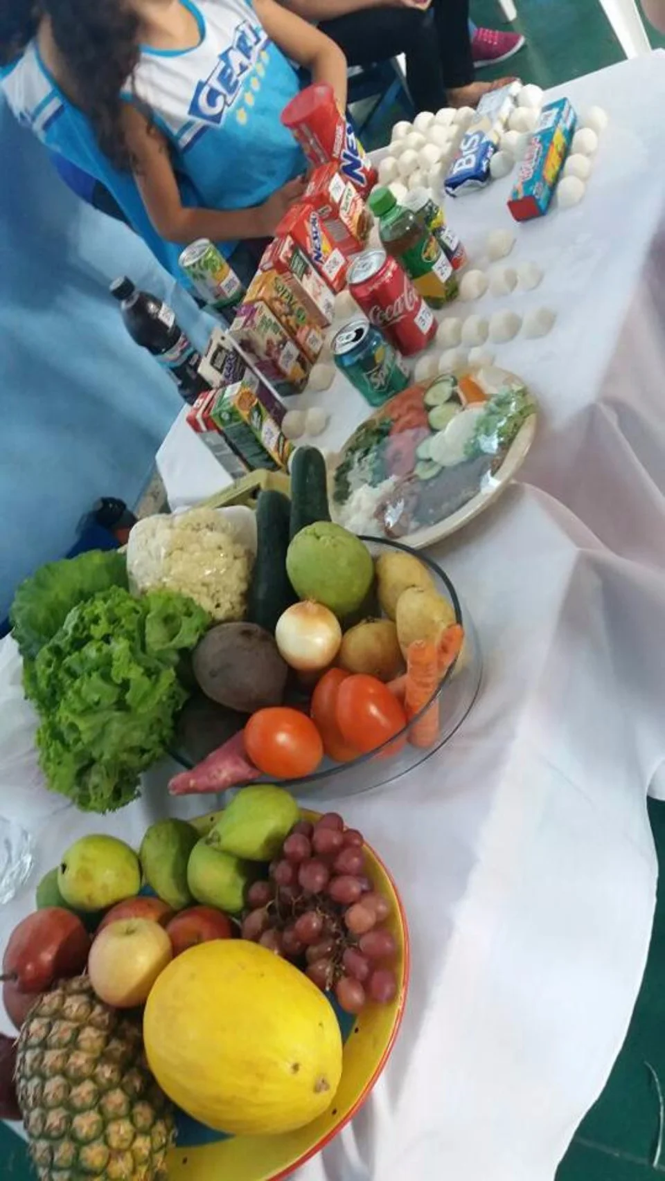 Feira de Ciências - 2017