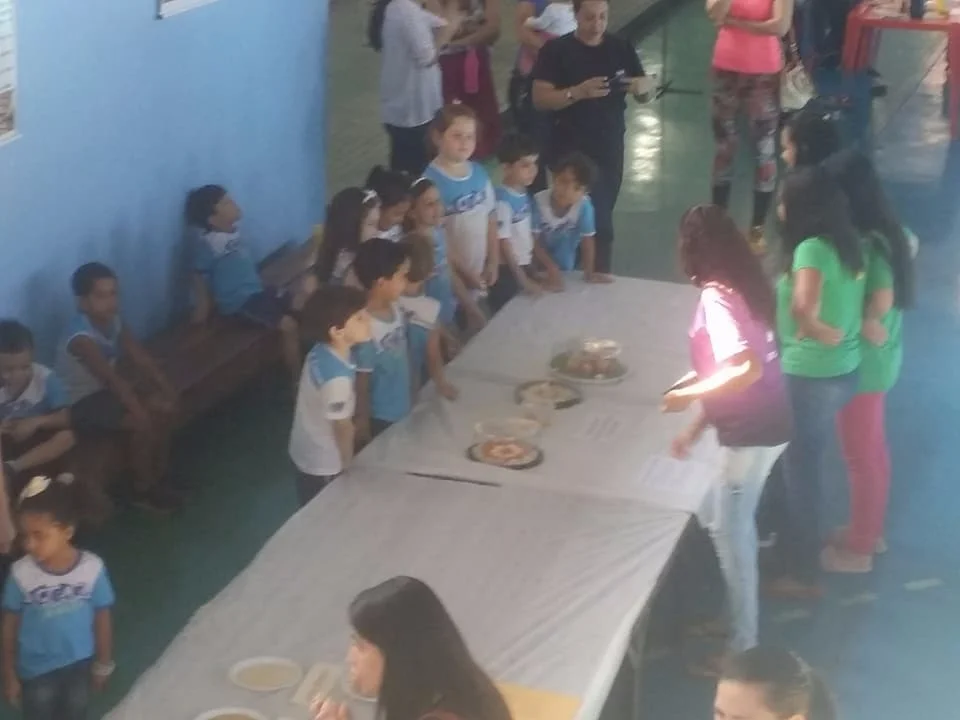 Feira de Ciências - 2017