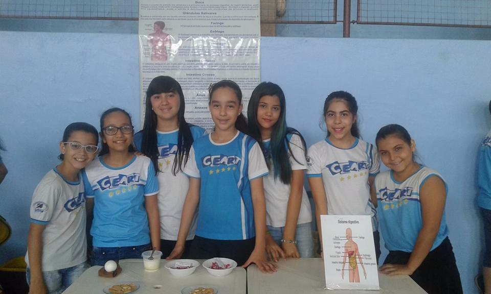 Feira de Ciências - 2017