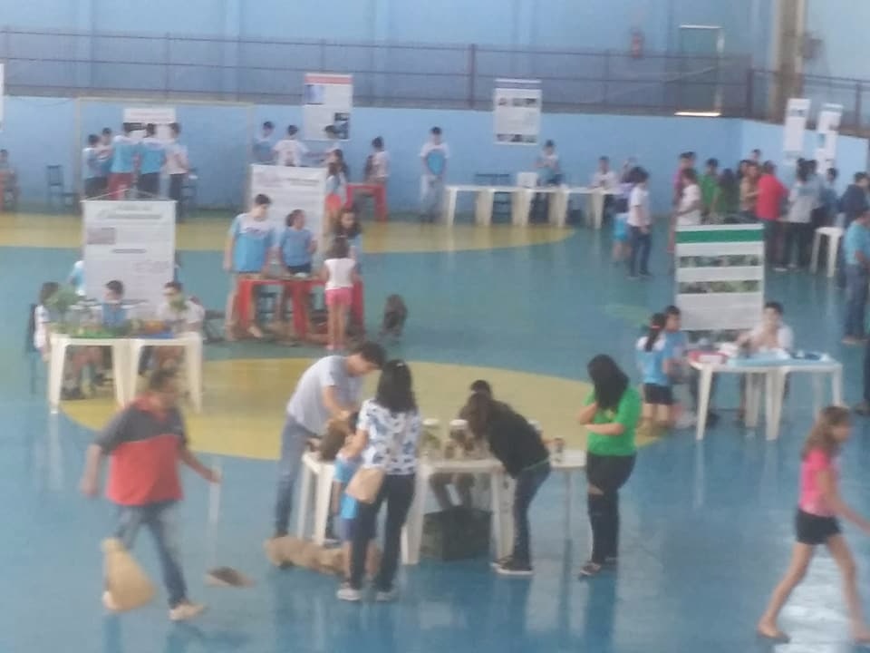 Feira de Ciências - 2017