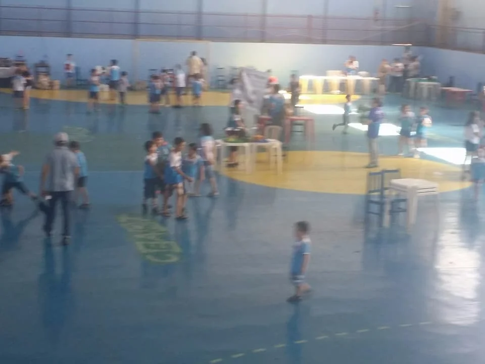 Feira de Ciências - 2017