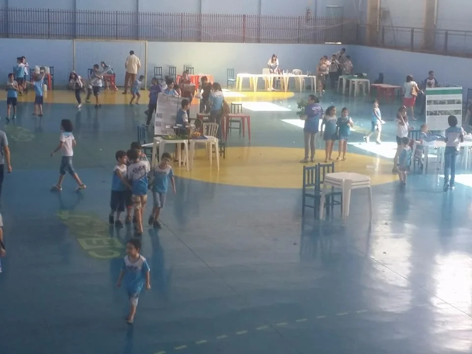 Feira de Ciências - 2017