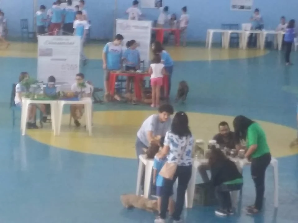 Feira de Ciências - 2017