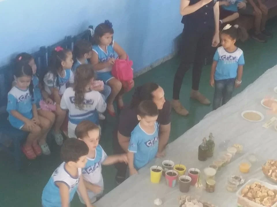 Feira de Ciências - 2017