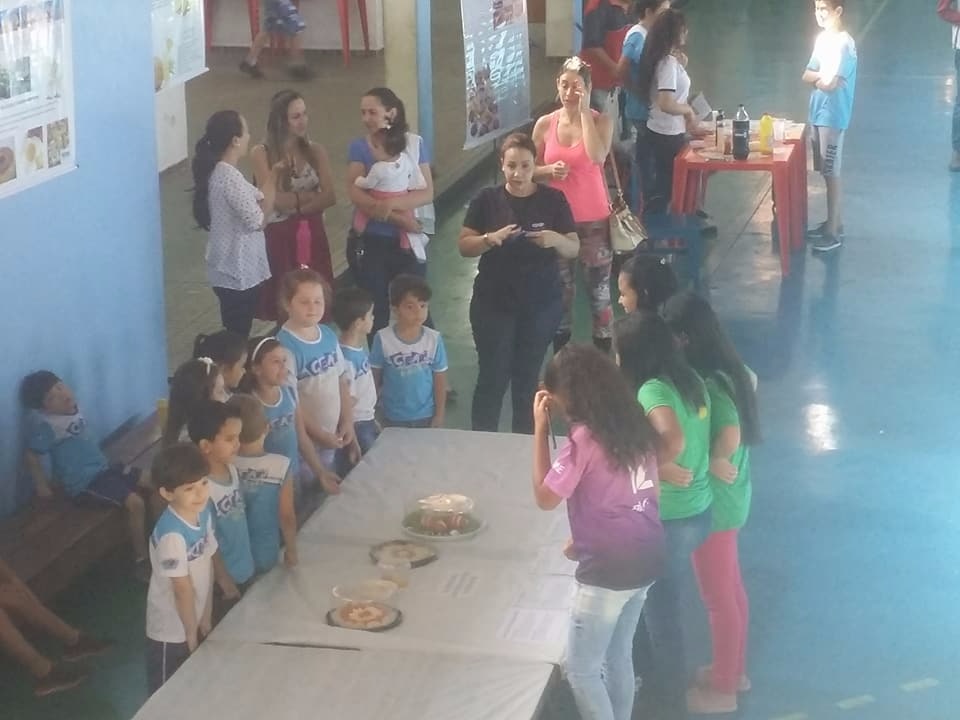 Feira de Ciências - 2017
