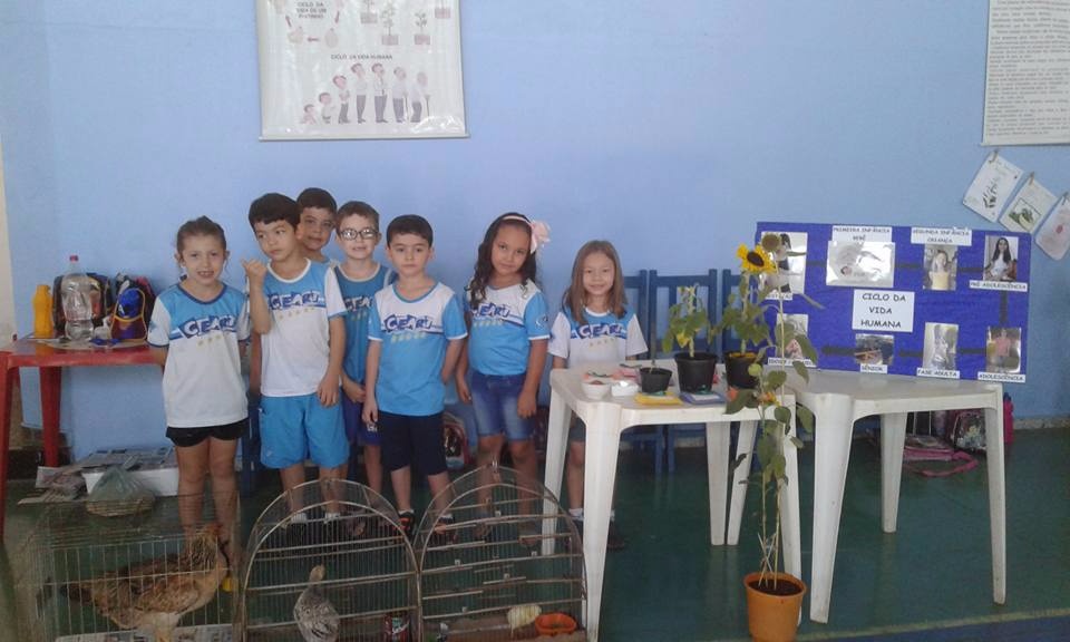 Feira de Ciências - 2017
