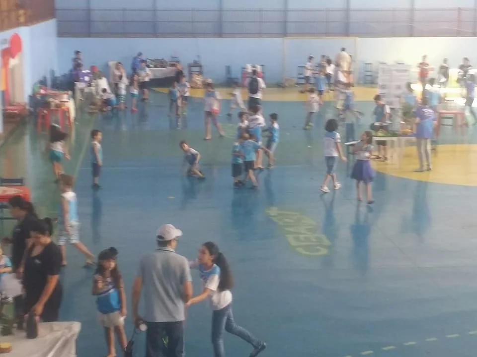 Feira de Ciências - 2017