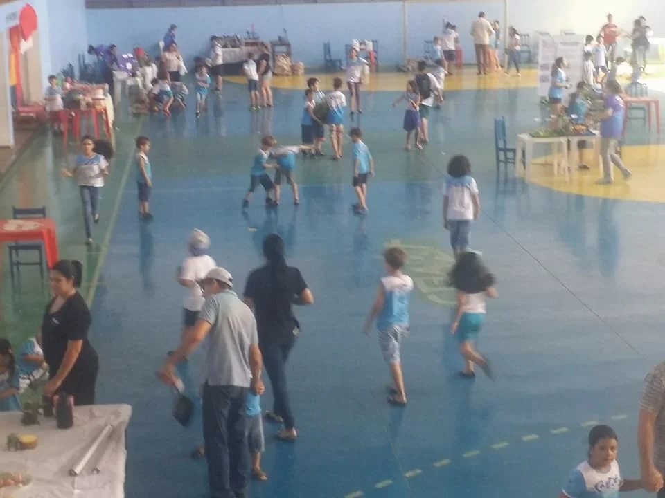 Feira de Ciências - 2017
