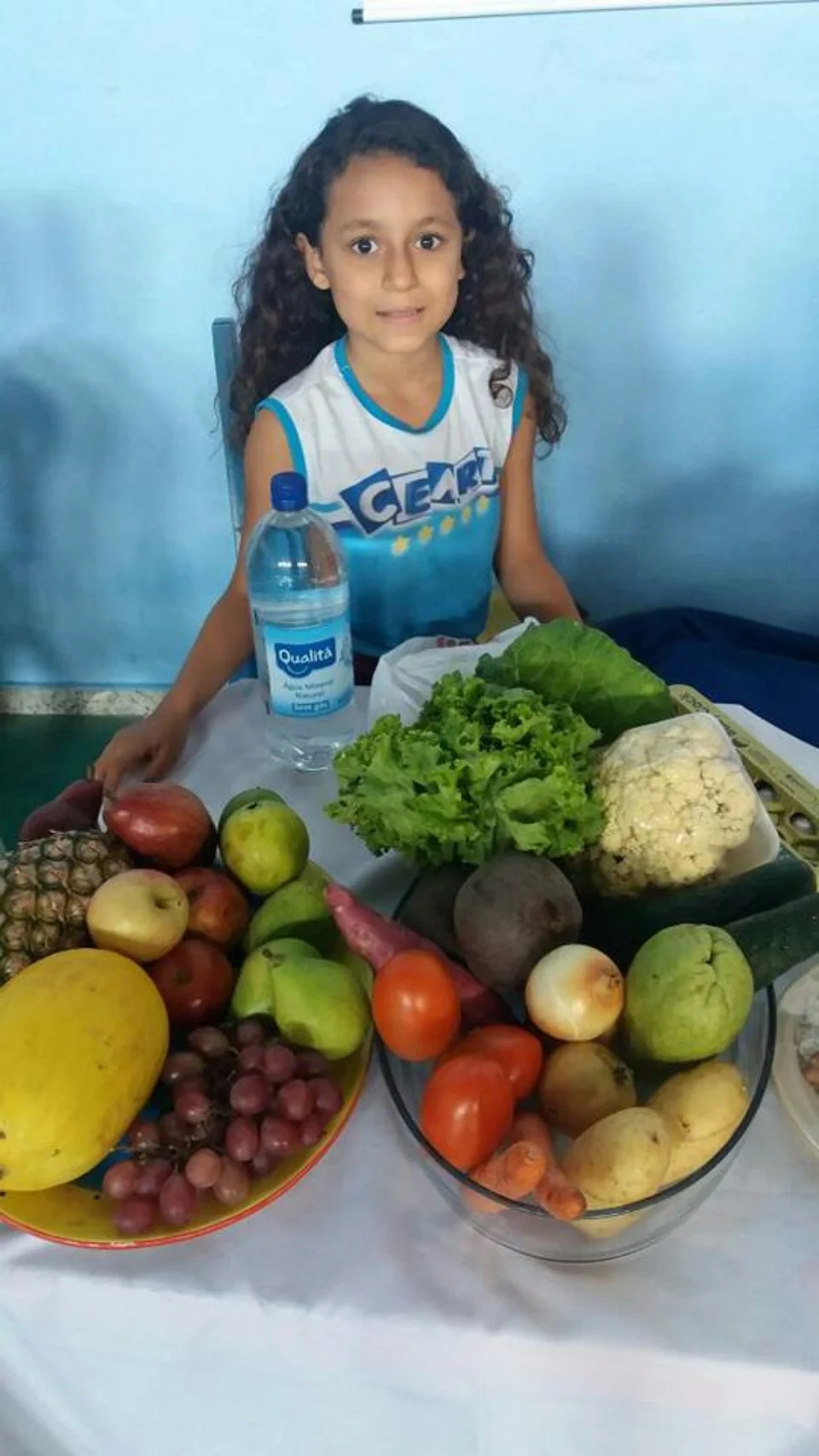 Feira de Ciências - 2017