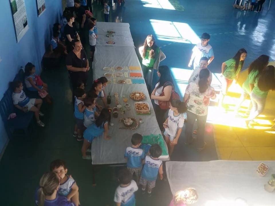 Feira de Ciências - 2017