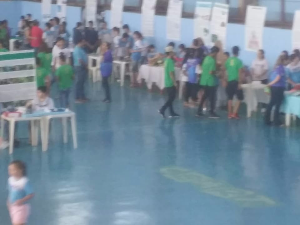 Feira de Ciências - 2017