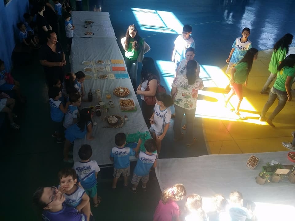 Feira de Ciências - 2017