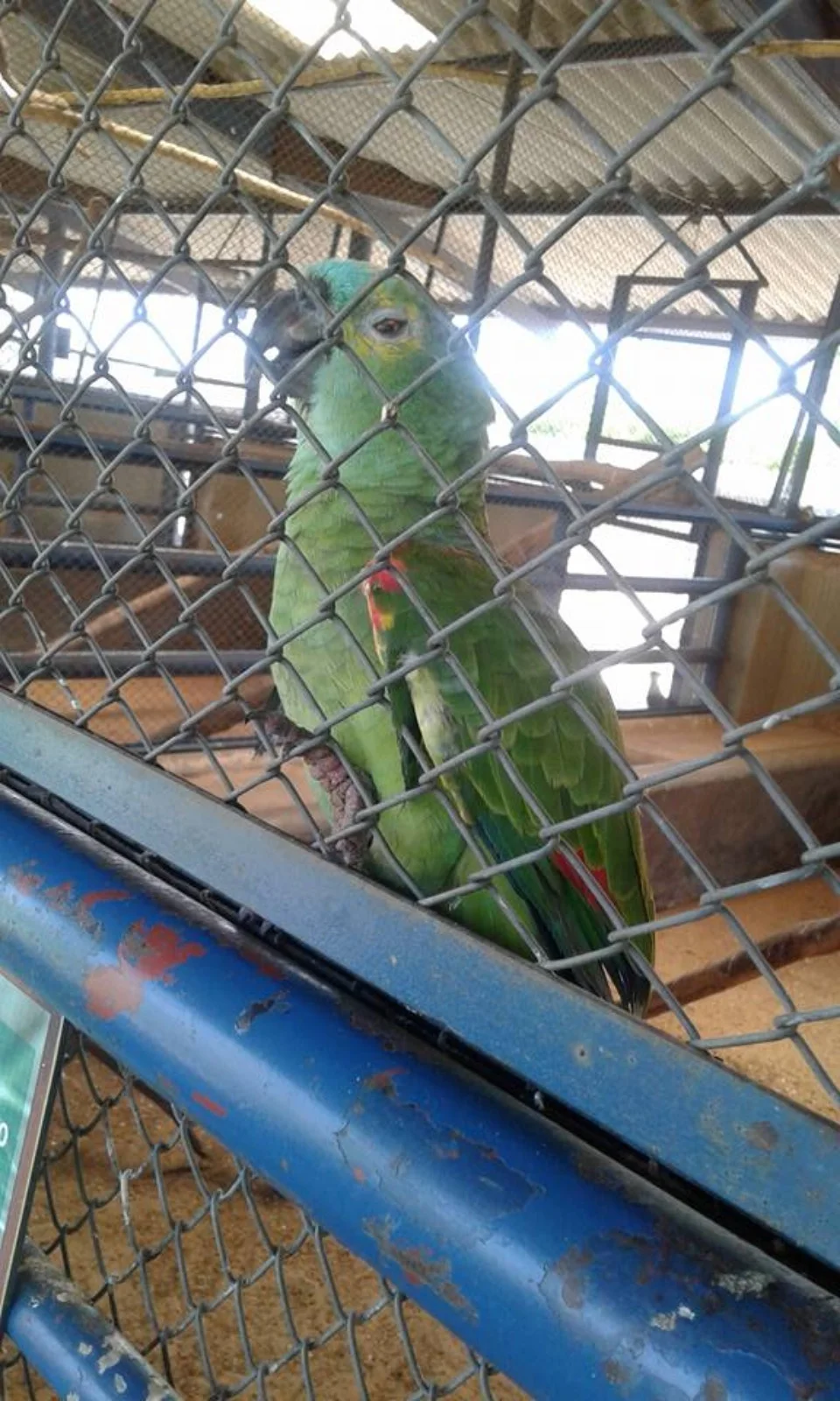 Amigo do Meio Ambiente- Greenfarm CO2 FREE