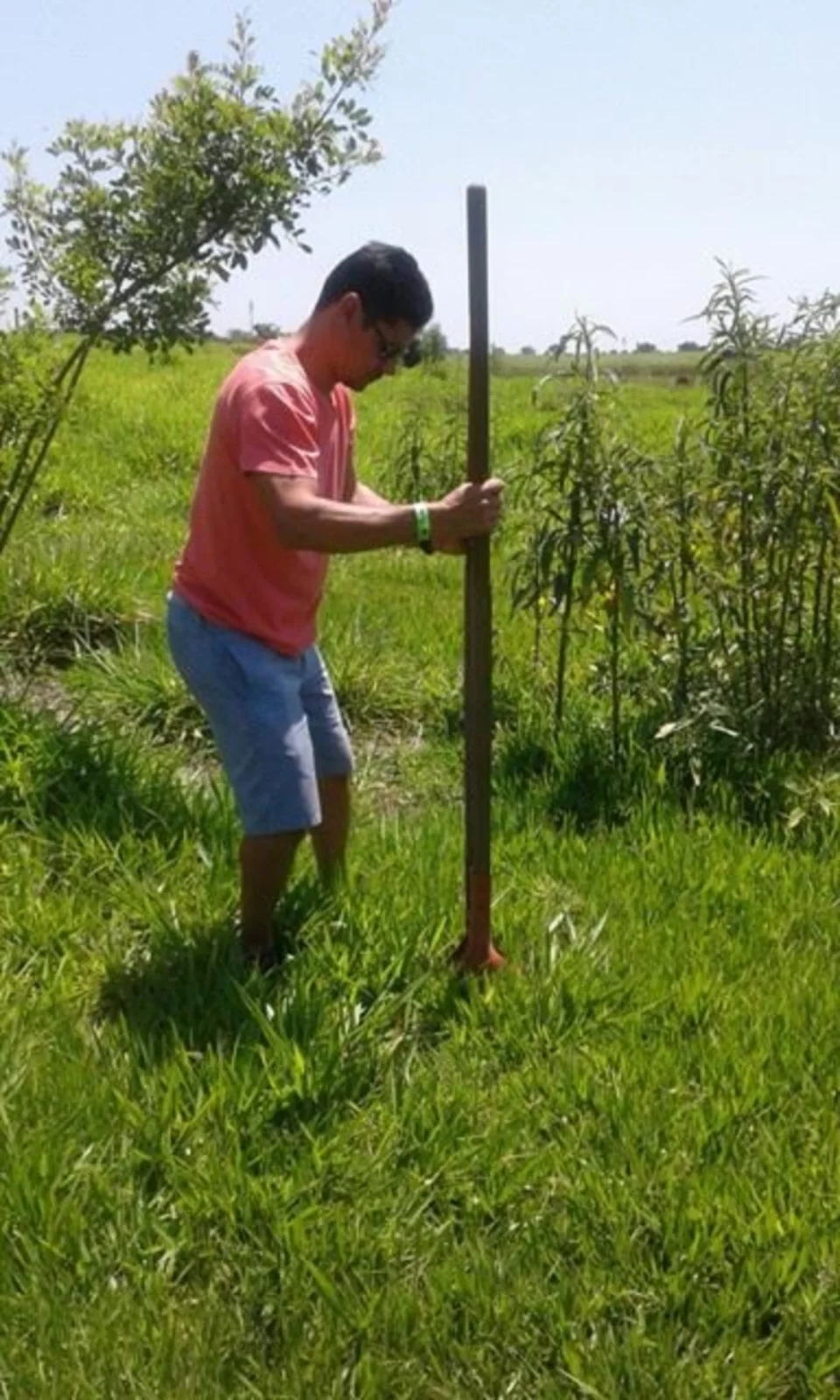 Amigo do Meio Ambiente- Greenfarm CO2 FREE
