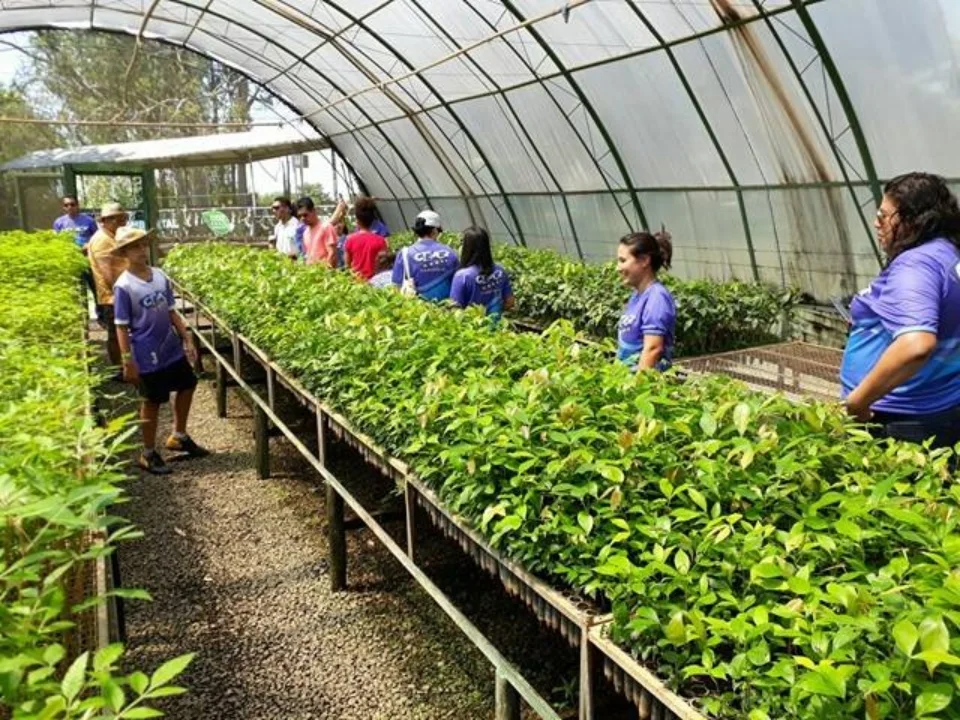 Amigo do Meio Ambiente- Greenfarm CO2 FREE