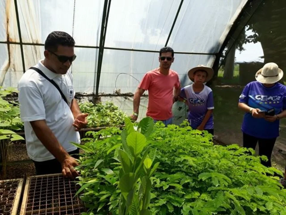 Amigo do Meio Ambiente- Greenfarm CO2 FREE