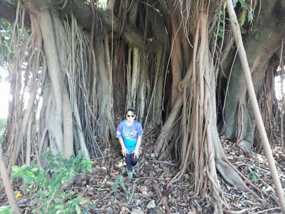 Amigo do Meio Ambiente- Greenfarm CO2 FREE