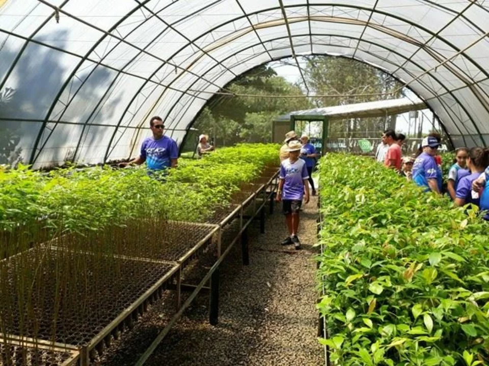 Amigo do Meio Ambiente- Greenfarm CO2 FREE