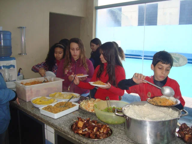 Estudando a anatomia suína