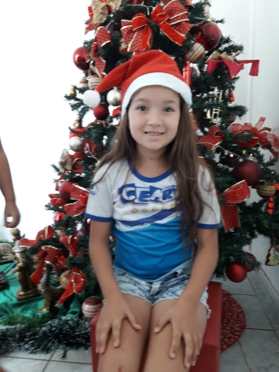 Natal CEART 2018 - 2° A - Profª Bete
