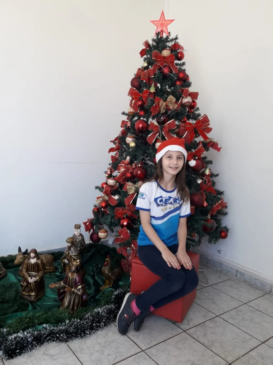 Natal CEART 2018 - 3° A- Profª Lessandra