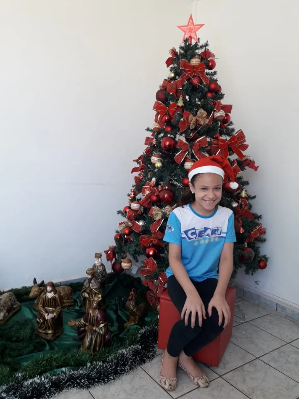 Natal CEART 2018 - 3° A- Profª Lessandra