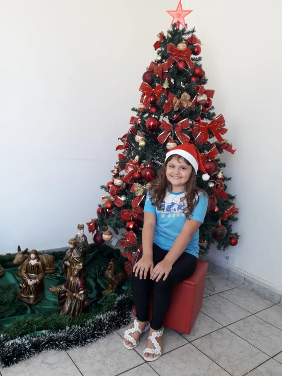 Natal CEART 2018 - 3° A- Profª Lessandra