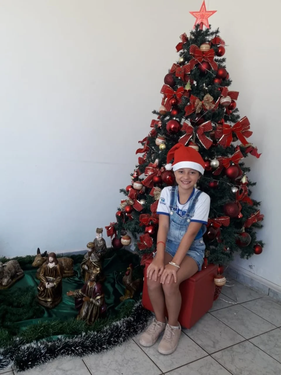 Natal CEART 2018 - 3° A- Profª Lessandra