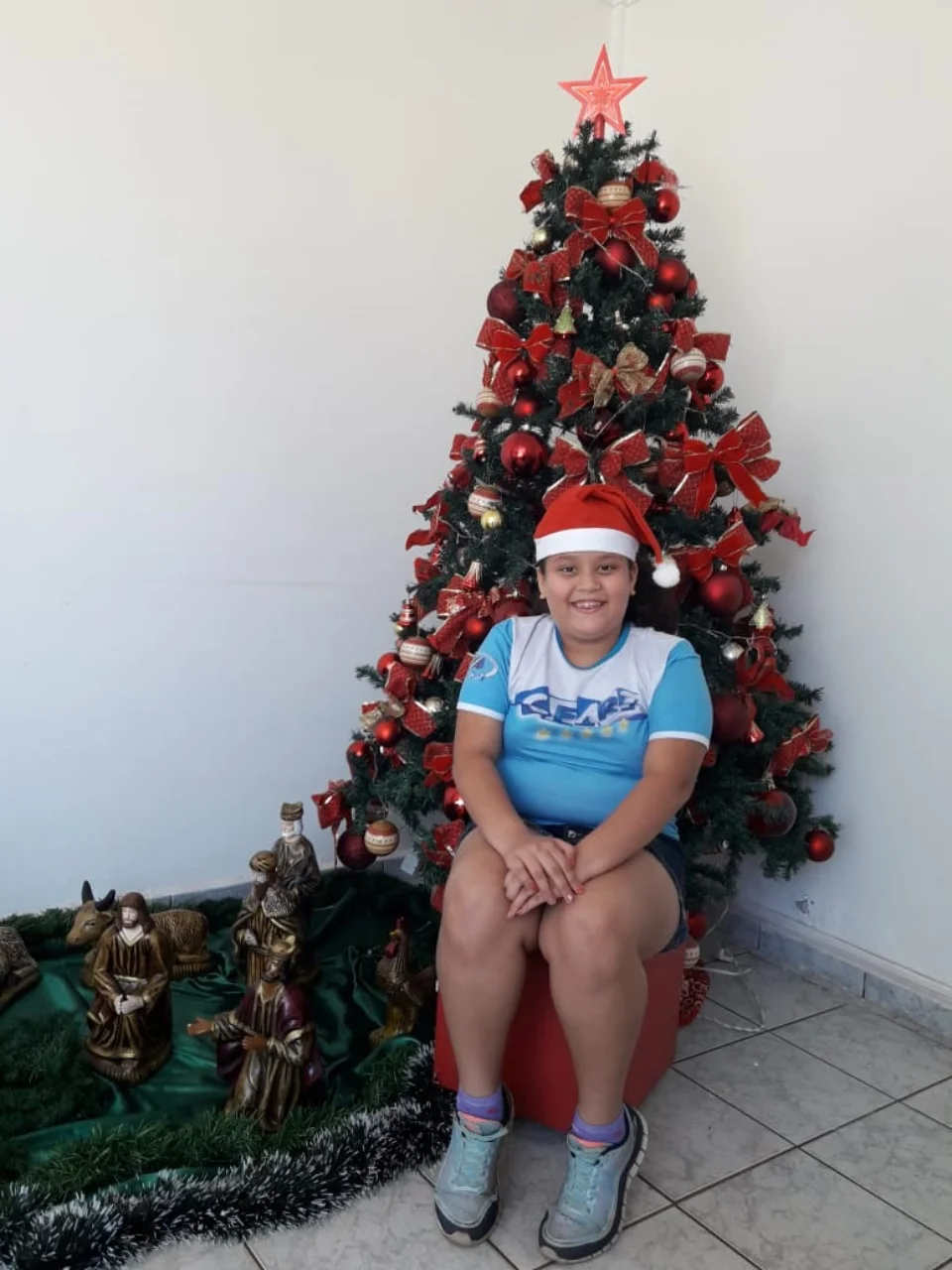 Natal CEART 2018 - 3° A- Profª Lessandra