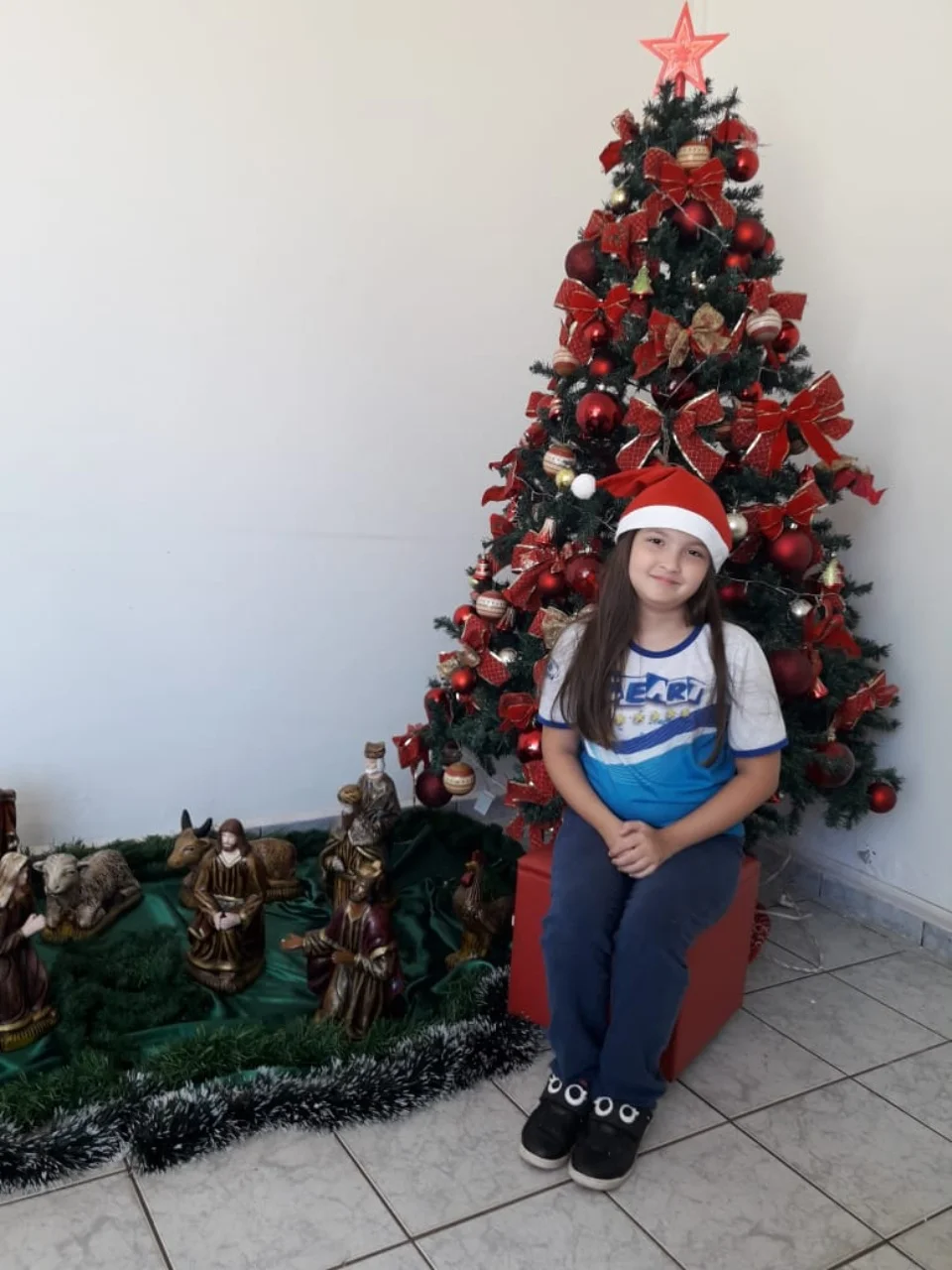 Natal CEART 2018 - 3° A- Profª Lessandra