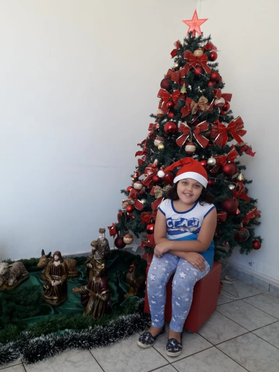 Natal CEART 2018 - 3° A- Profª Lessandra