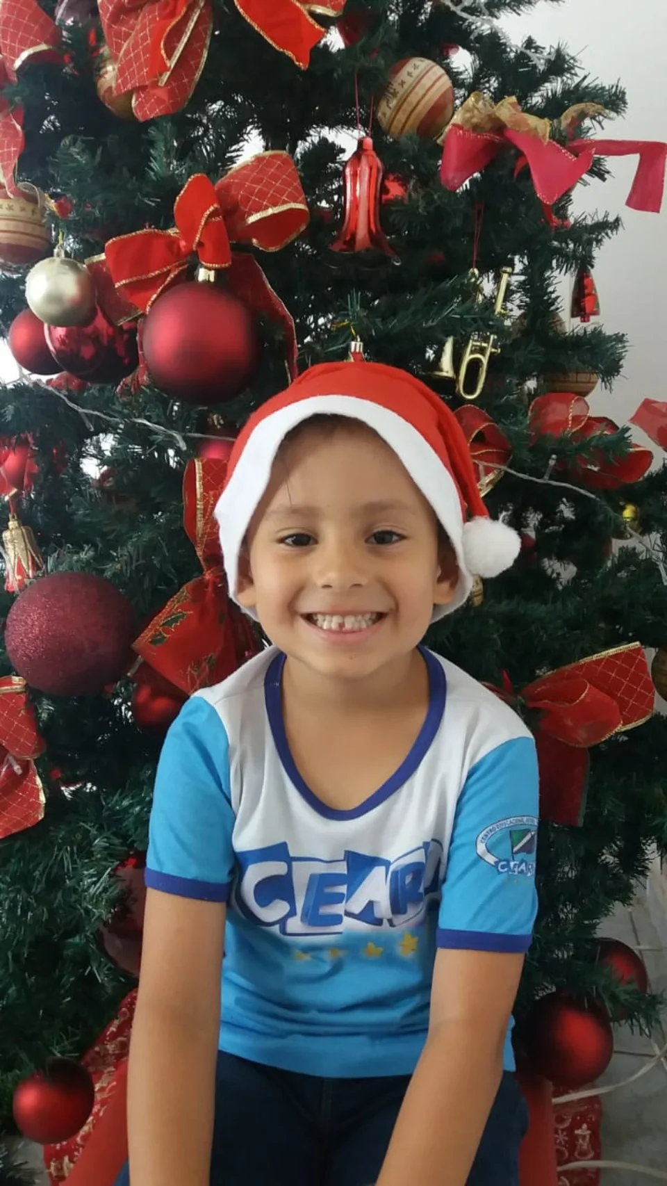 Natal CEART 2018 - Pré B - Profª Dineiva