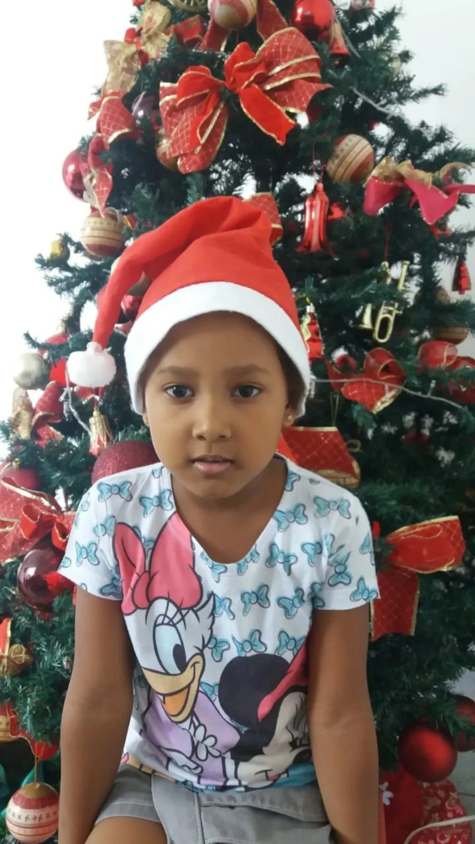 Natal CEART 2018 - Pré B - Profª Dineiva