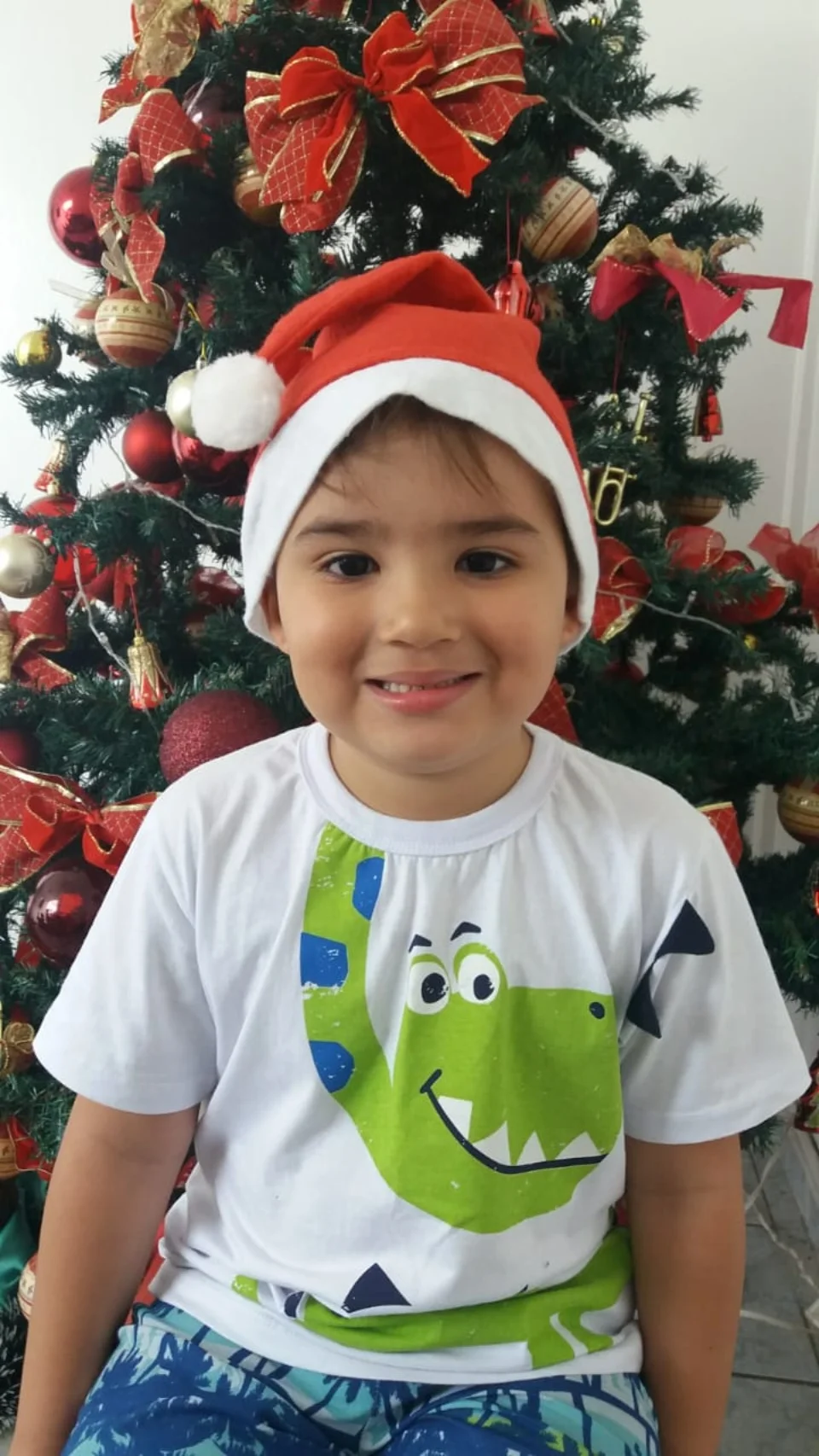 Natal CEART 2018 - Pré B - Profª Dineiva