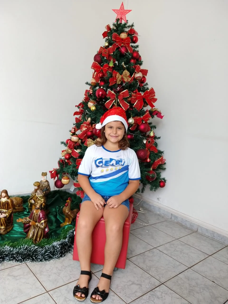 Natal CEART 2018 - Pré C - Profª Evelin