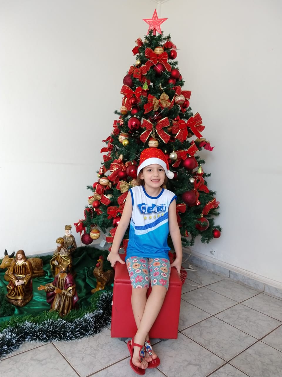 Natal CEART 2018 - Pré C - Profª Evelin