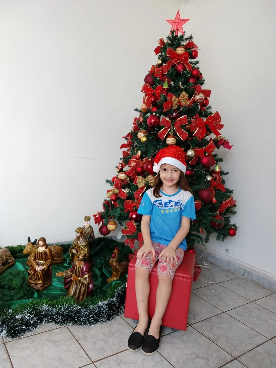 Natal CEART 2018 - Pré C - Profª Evelin