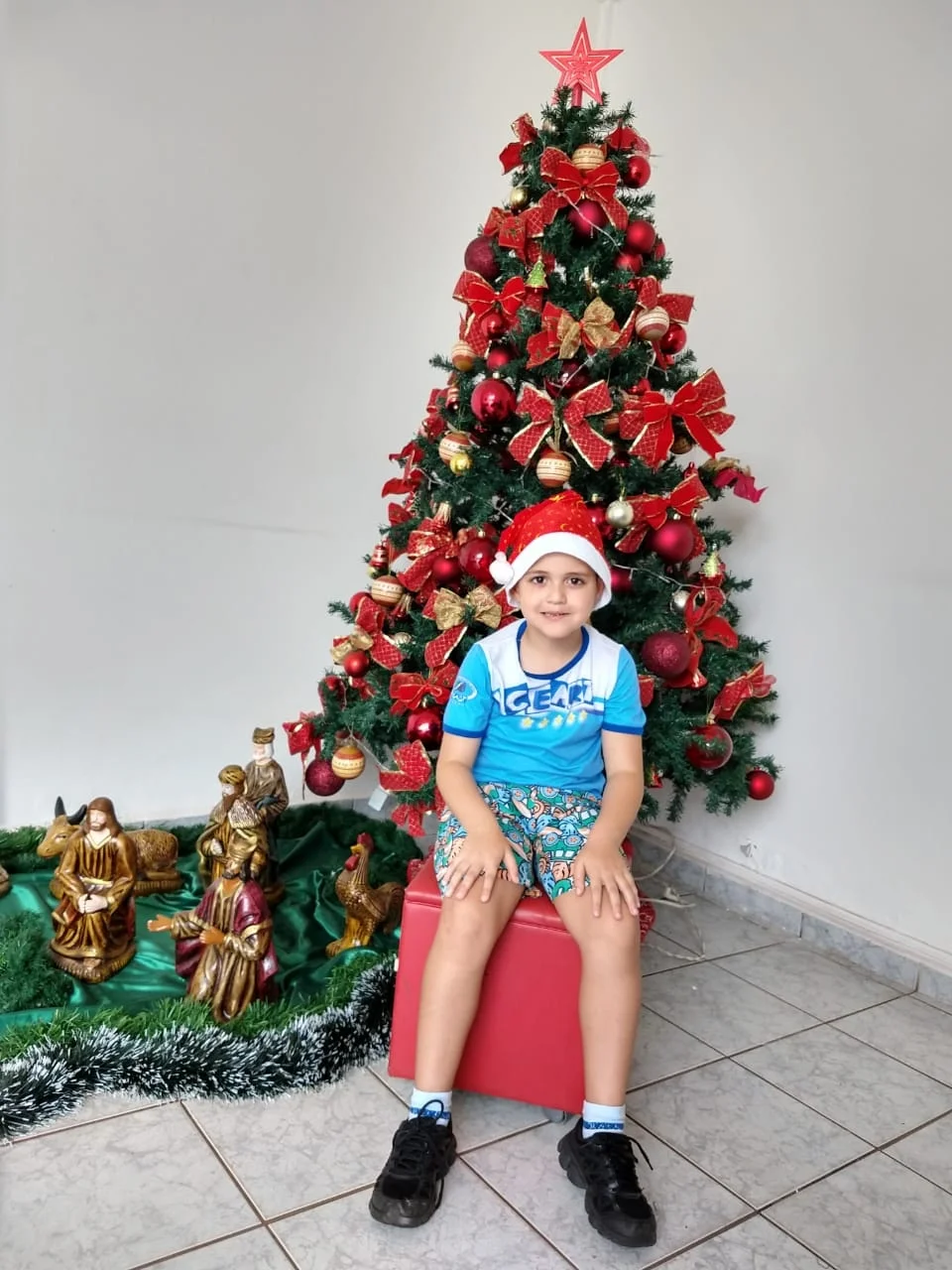Natal CEART 2018 - Pré C - Profª Evelin