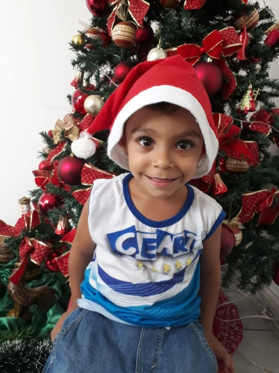 Natal CEART - 2018 - Profª Mayara