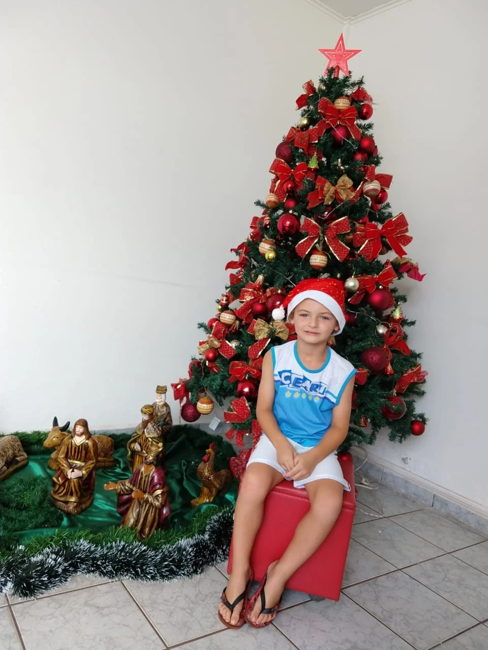 Natal CEART - 2018 - Profª Mayara