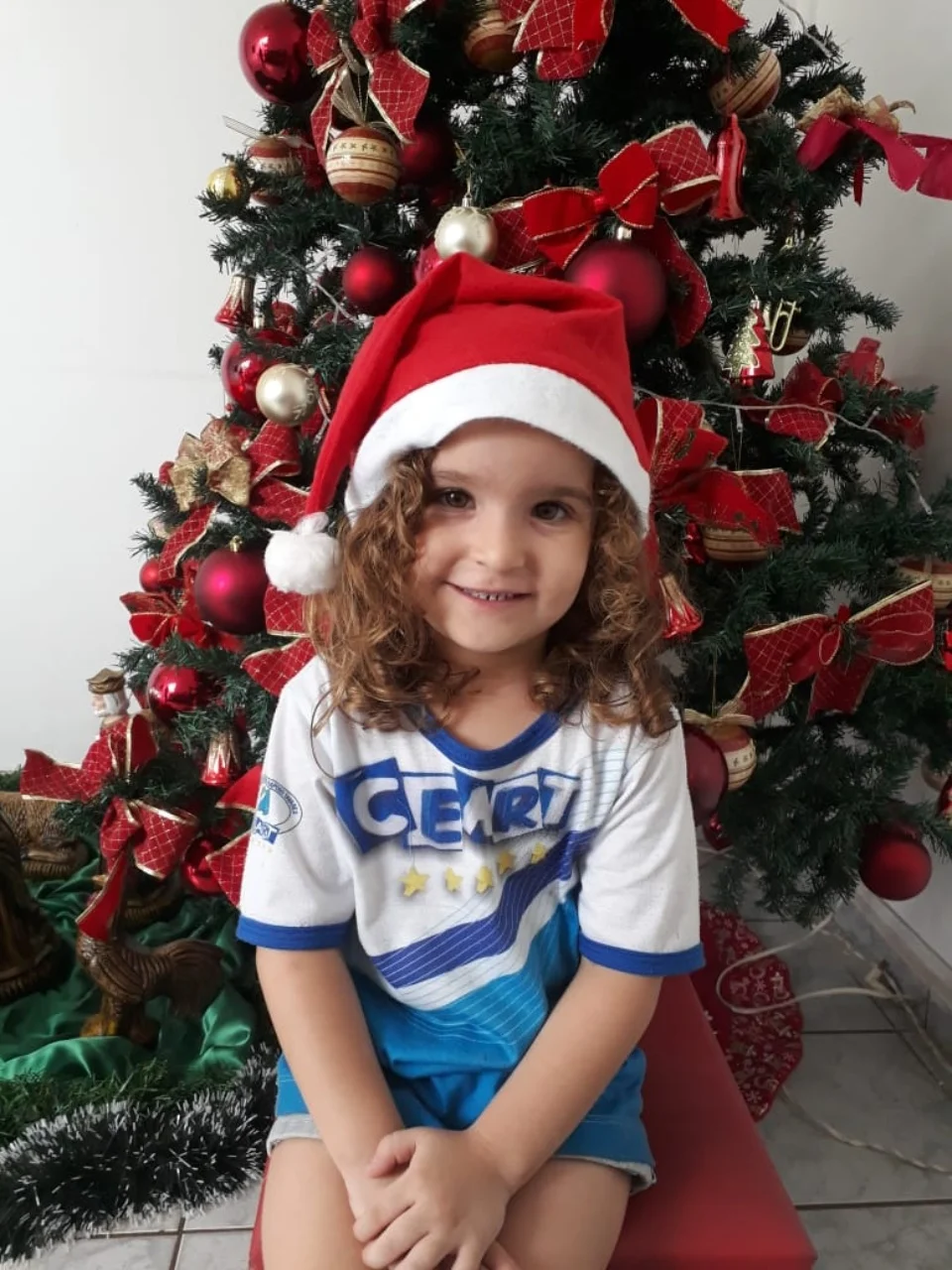 Natal CEART - 2018 - Profª Mayara