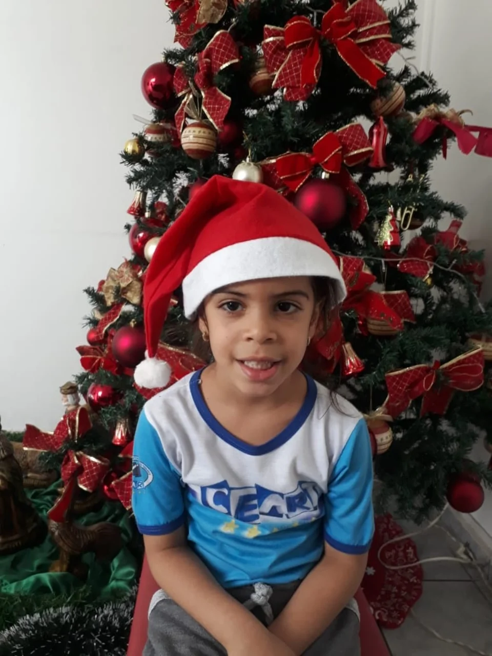 Natal CEART - 2018 - Profª Mayara
