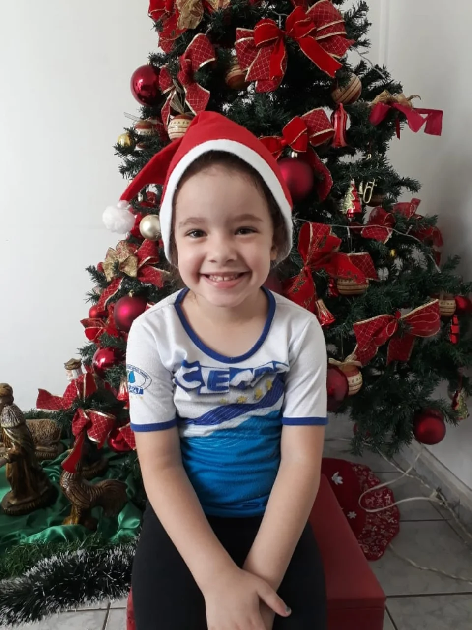 Natal CEART - 2018 - Profª Mayara